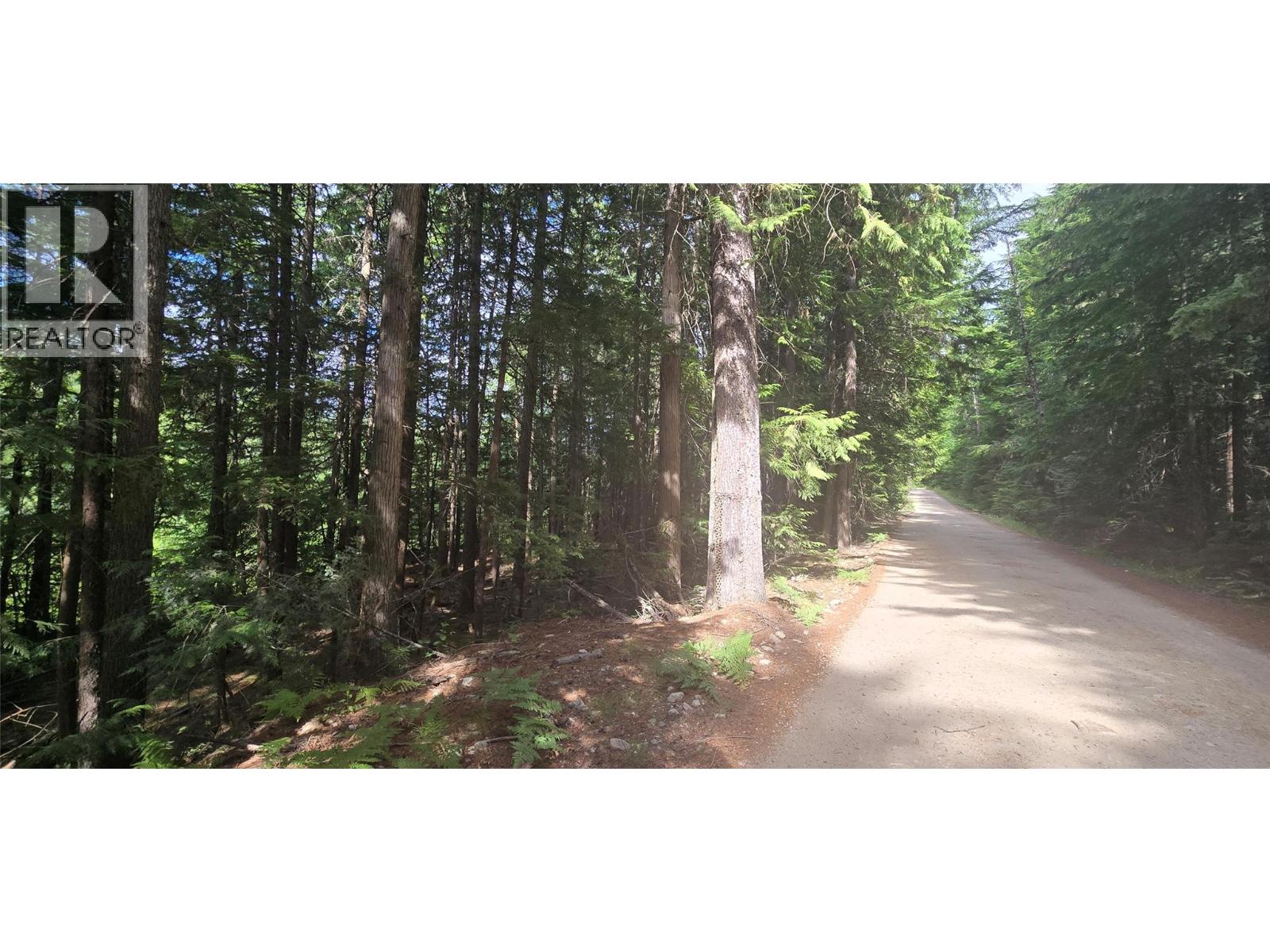 4560 6 Highway, Winlaw, British Columbia  V0G 2J0 - Photo 3 - 10358238