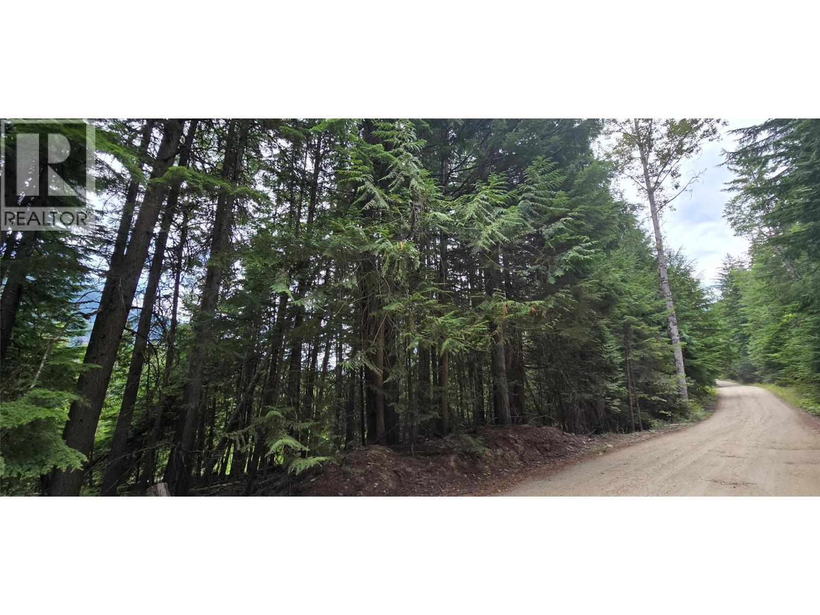 4560 6 Highway, Winlaw, British Columbia  V0G 2J0 - Photo 4 - 10358238