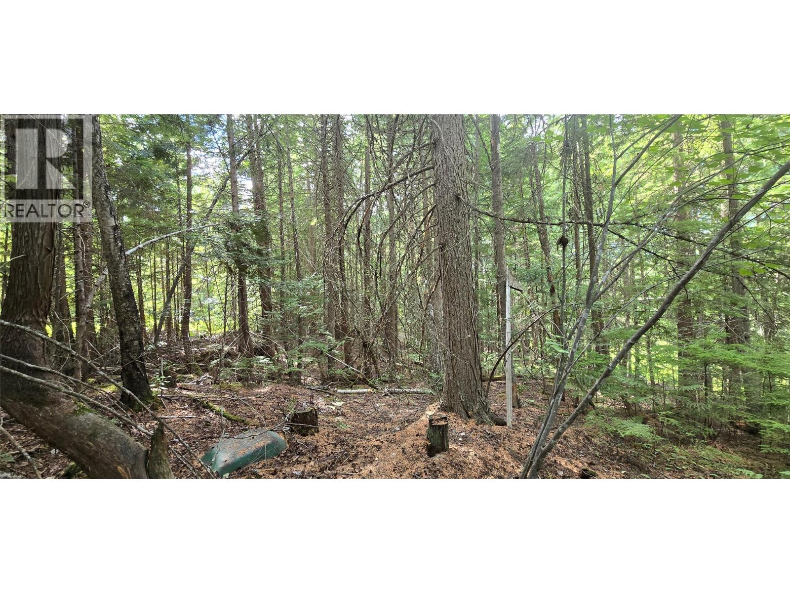 4560 6 Highway, Winlaw, British Columbia  V0G 2J0 - Photo 7 - 10358238