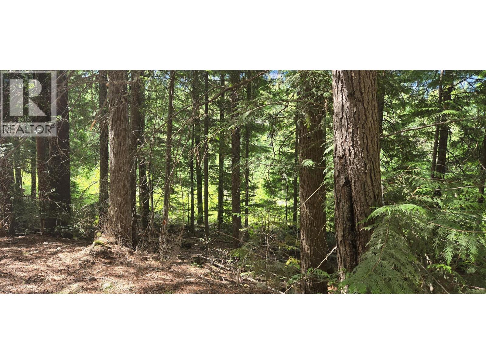 4560 6 Highway, Winlaw, British Columbia  V0G 2J0 - Photo 8 - 10358238