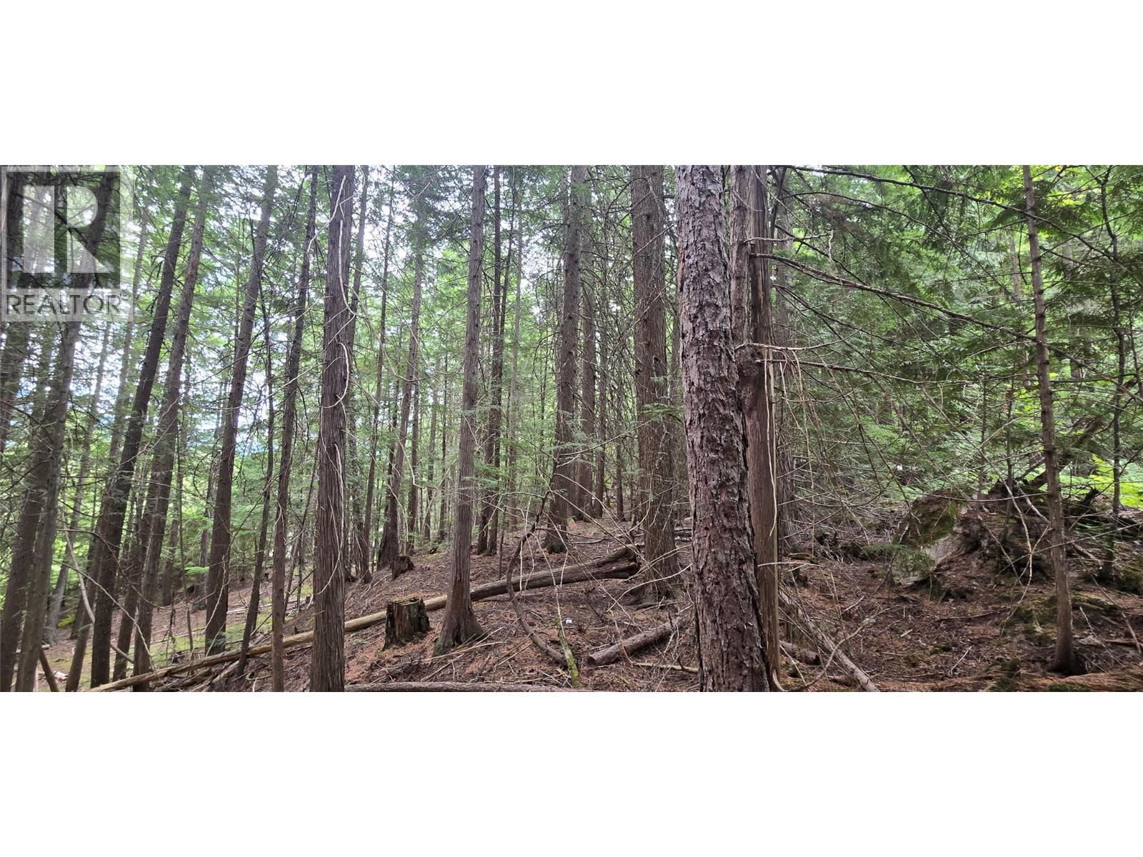 4560 6 Highway, Winlaw, British Columbia  V0G 2J0 - Photo 9 - 10358238