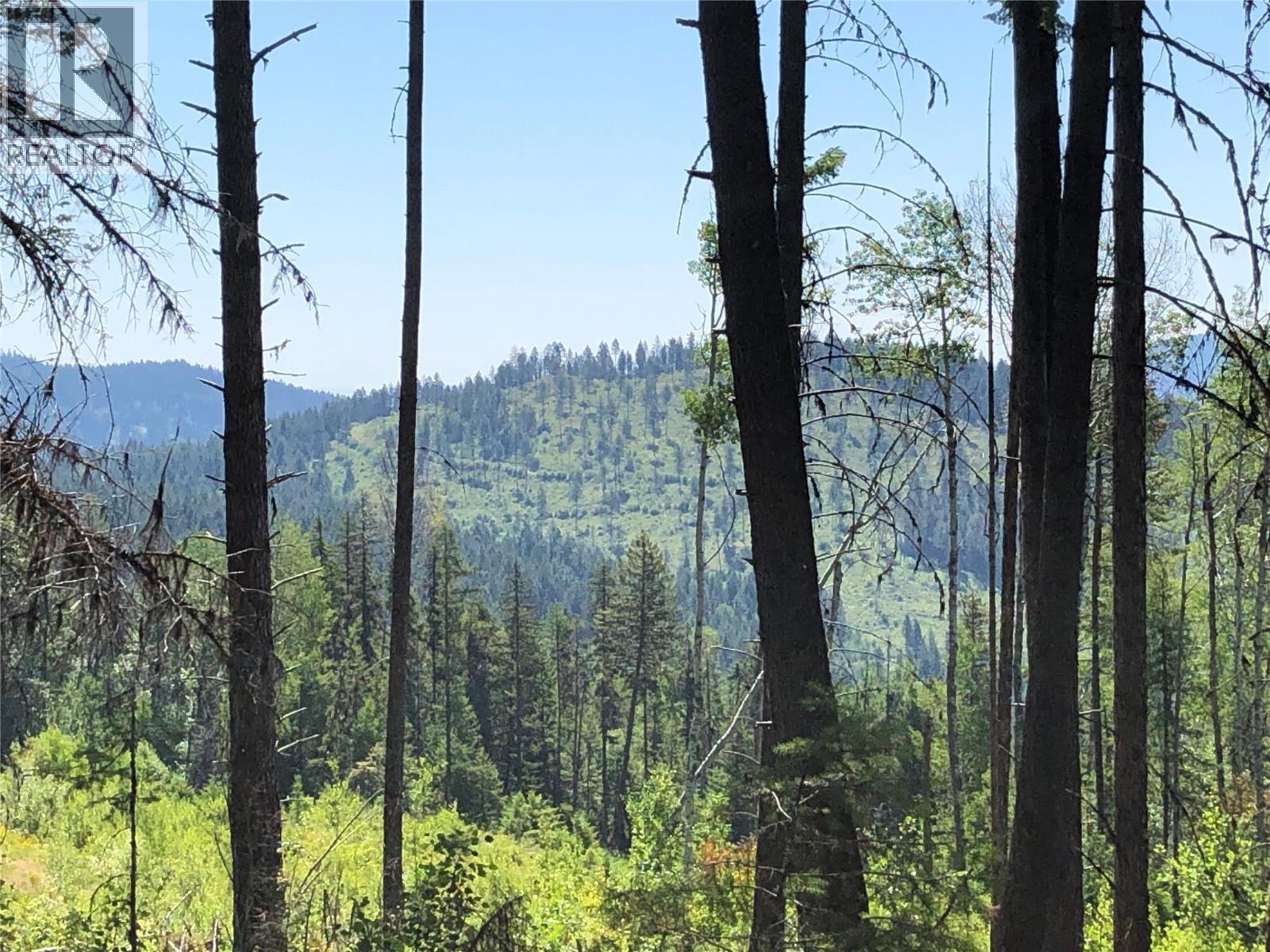 1827s Morrissey Creek Road, Grand Forks, British Columbia  V0H 1H2 - Photo 10 - 10358274