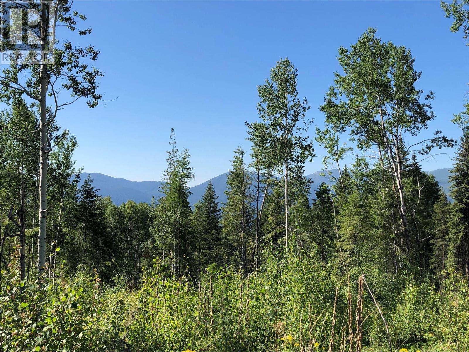 1827s Morrissey Creek Road, Grand Forks, British Columbia  V0H 1H2 - Photo 11 - 10358274