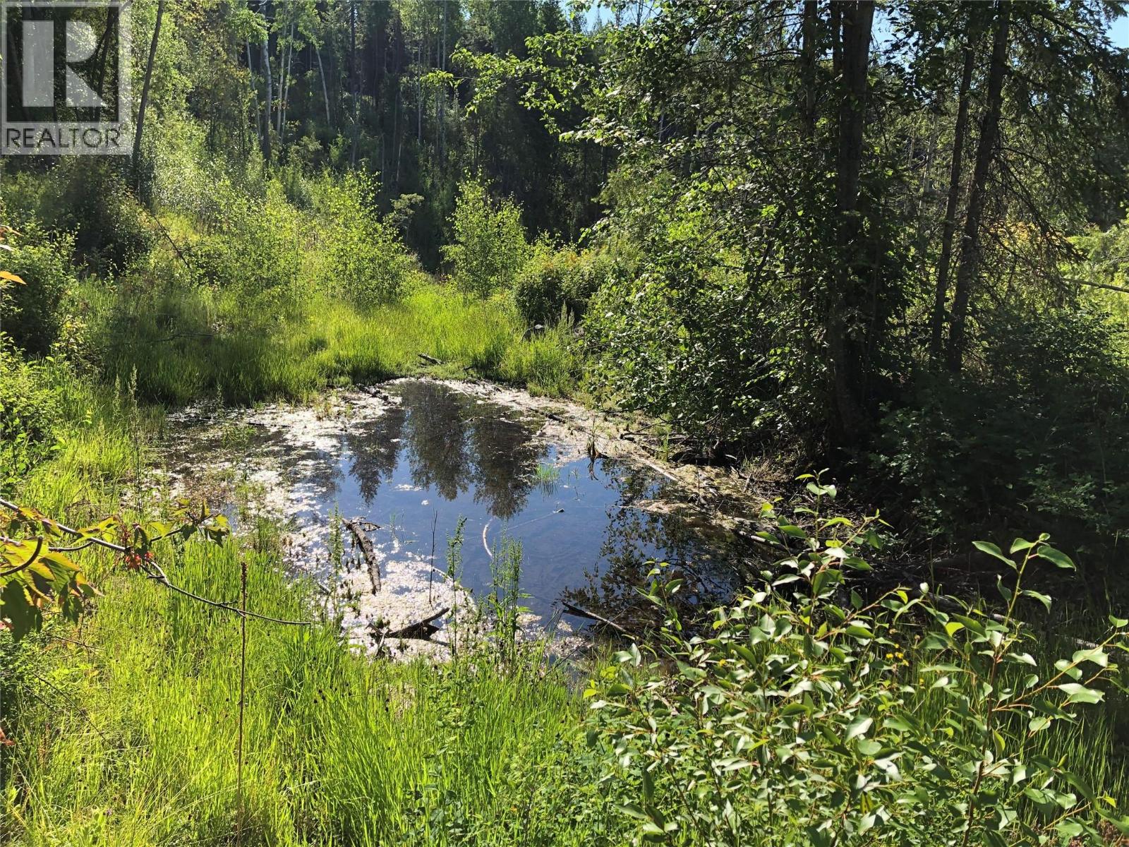 1827s Morrissey Creek Road, Grand Forks, British Columbia  V0H 1H2 - Photo 13 - 10358274