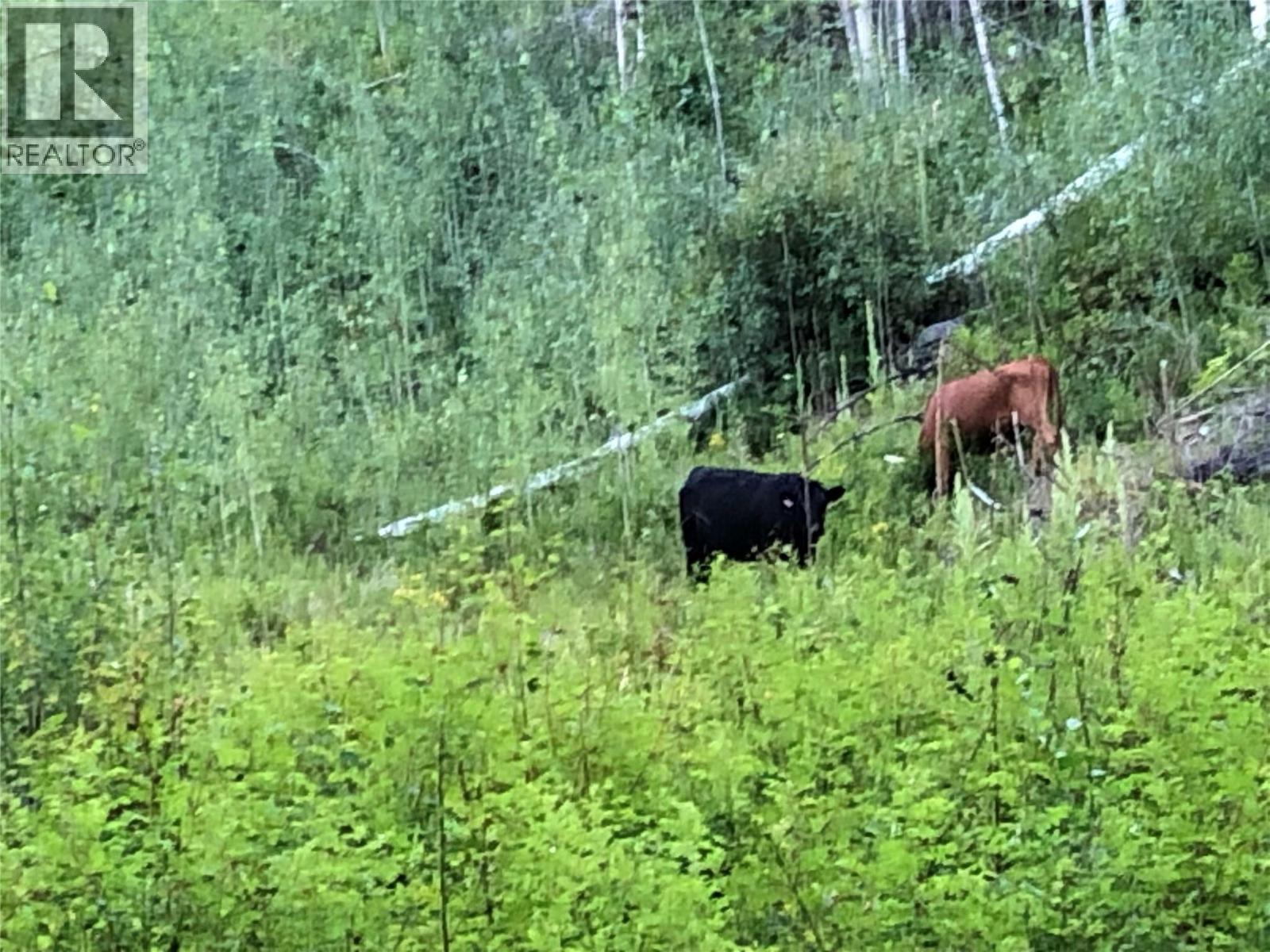 1827s Morrissey Creek Road, Grand Forks, British Columbia  V0H 1H2 - Photo 14 - 10358274