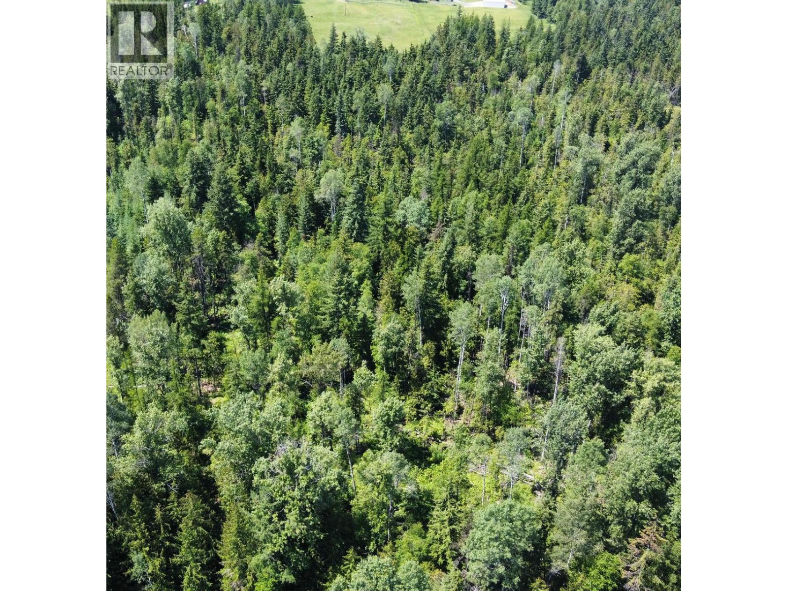 432 Alexander Road, Nakusp, British Columbia  V0G 1R1 - Photo 36 - 10358342