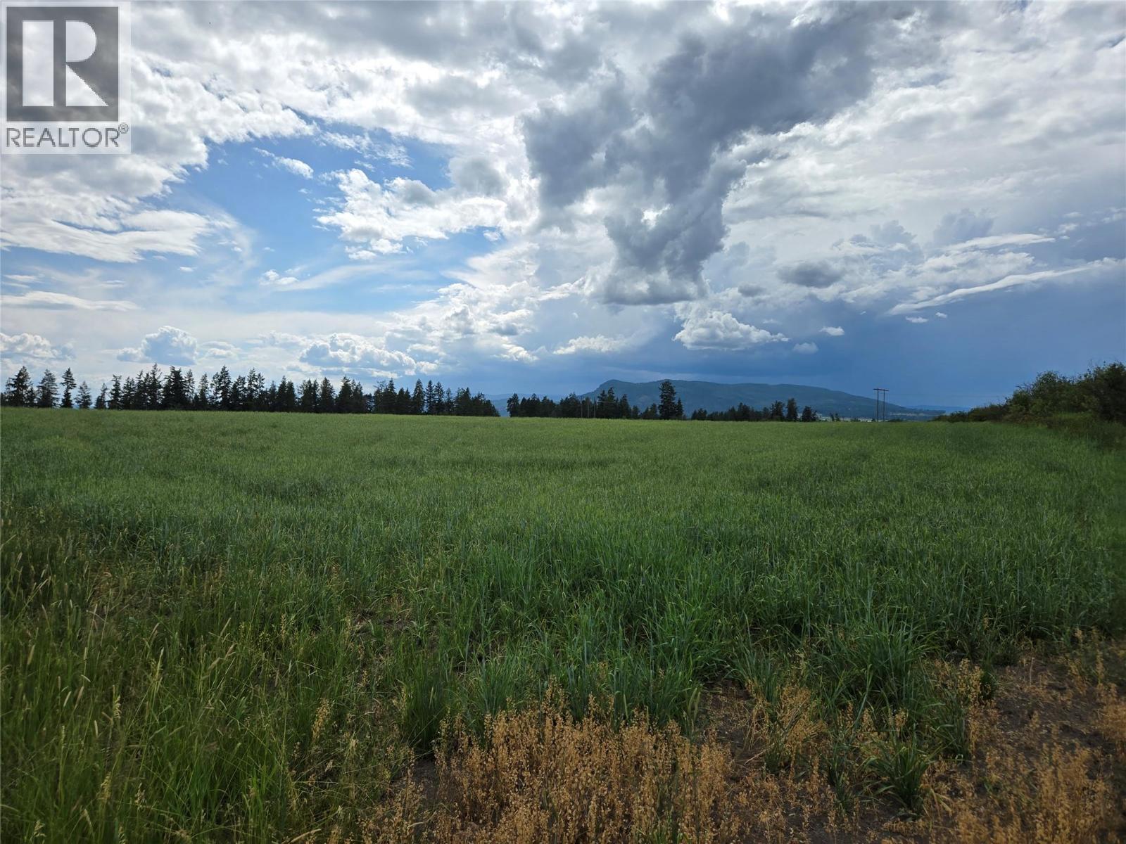 Lot 1 Marshall Road, Spallumcheen, British Columbia  V0E 1V0 - Photo 10 - 10358261