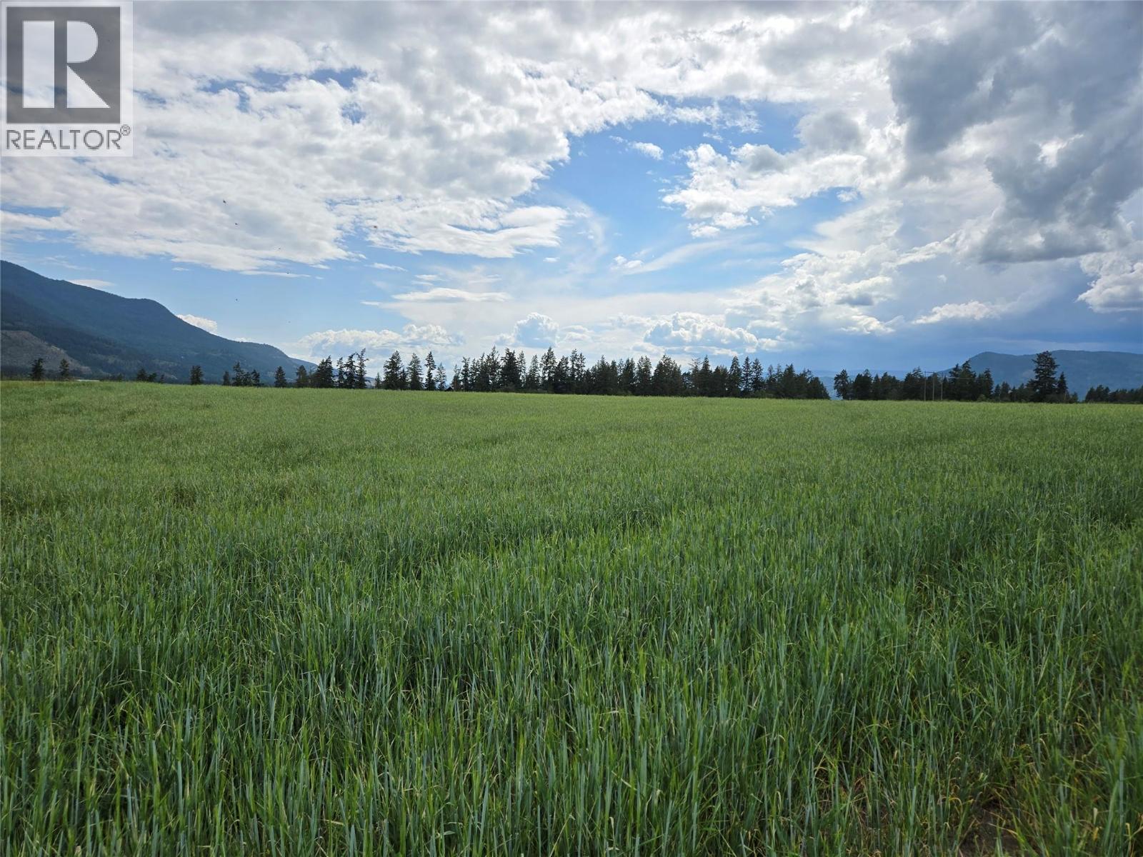 Lot 1 Marshall Road, Spallumcheen, British Columbia  V0E 1V0 - Photo 11 - 10358261