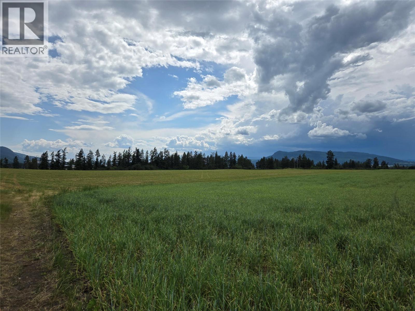 Lot 1 Marshall Road, Spallumcheen, British Columbia  V0E 1V0 - Photo 16 - 10358261