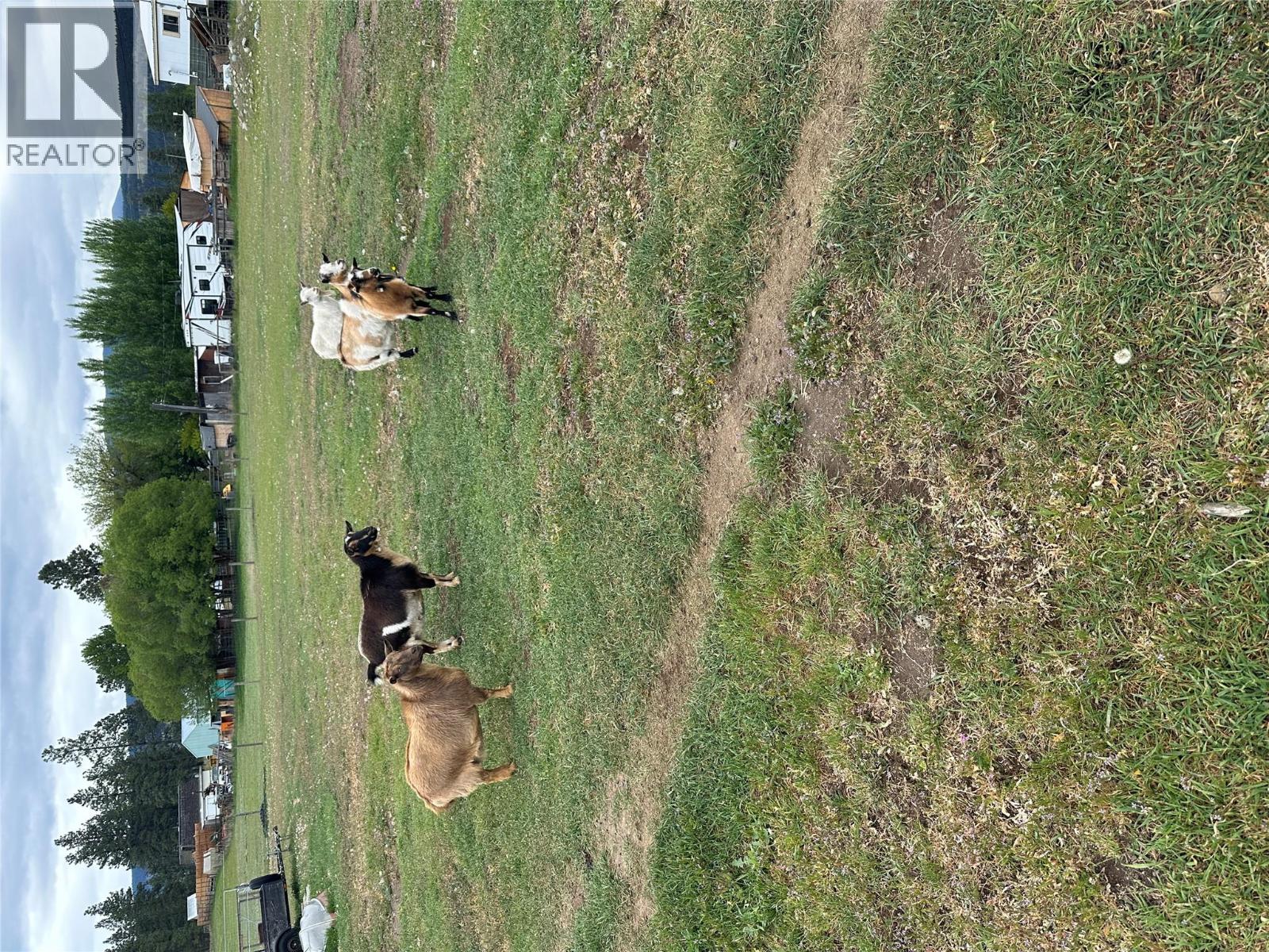 224 Coalmont Road, Princeton, British Columbia  V0X 1W0 - Photo 27 - 10358405