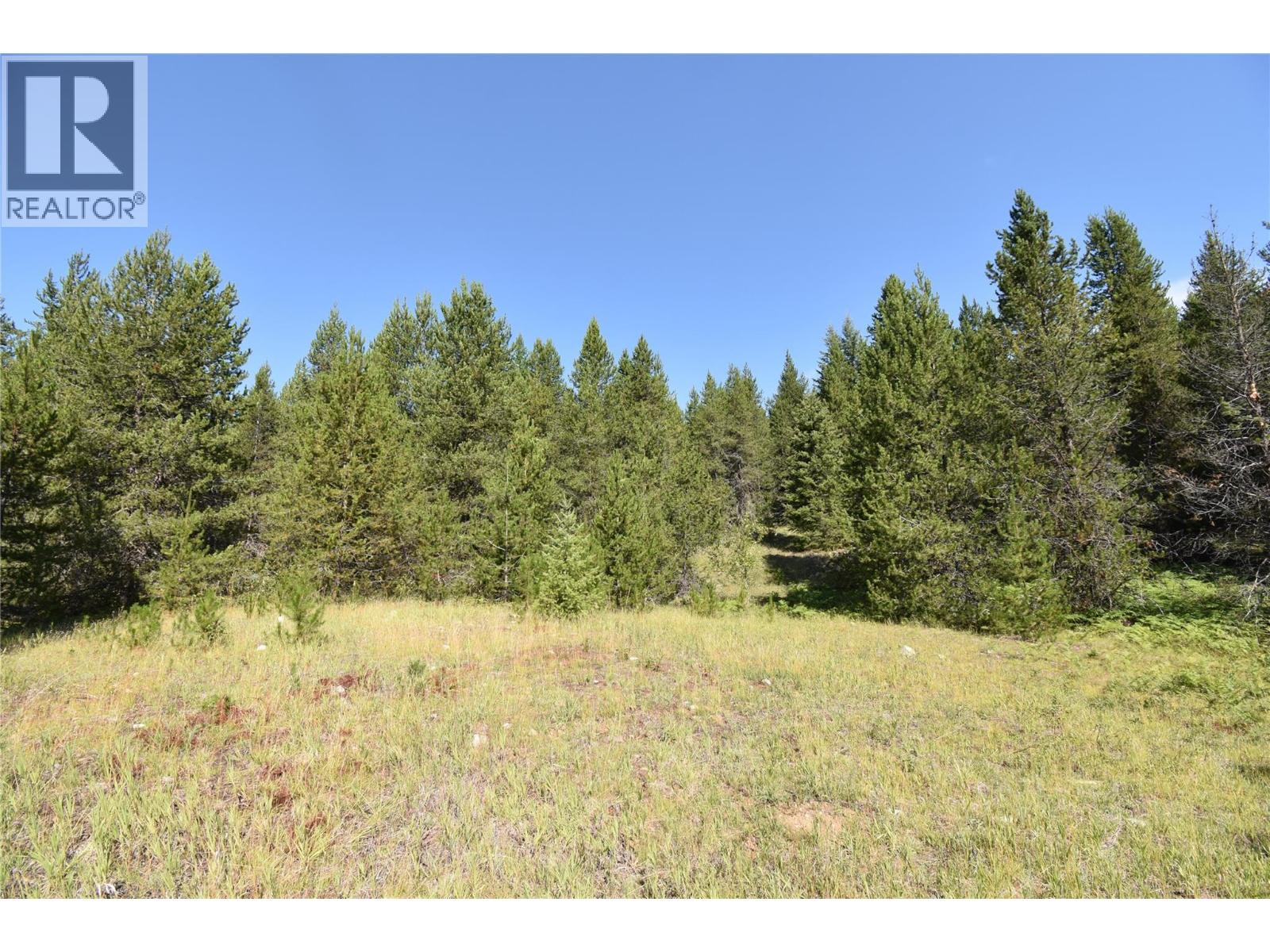 4125 Ross Spur Road, Fruitvale, British Columbia  V0G 1L1 - Photo 3 - 10358434