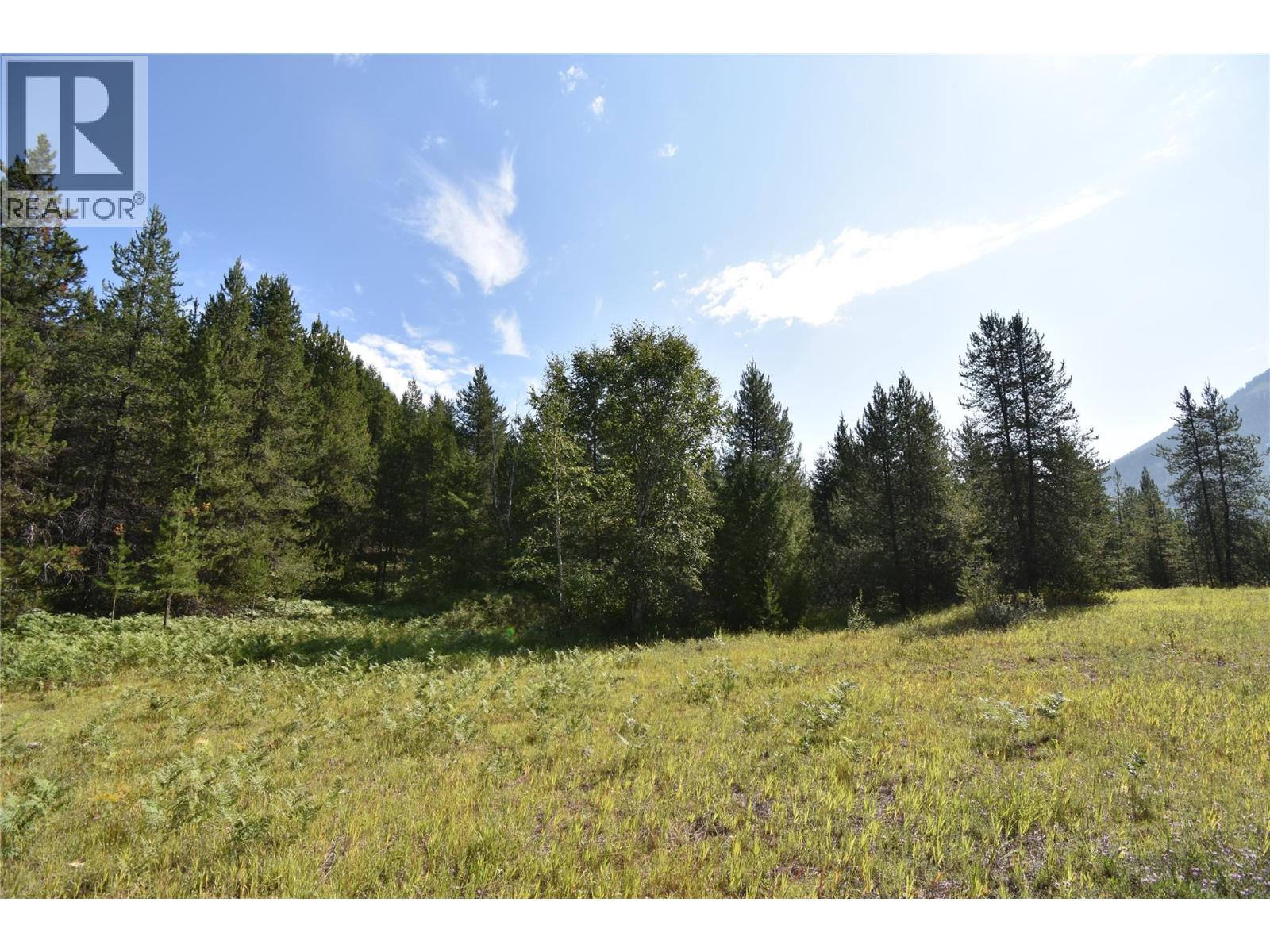 4125 Ross Spur Road, Fruitvale, British Columbia  V0G 1L1 - Photo 4 - 10358434