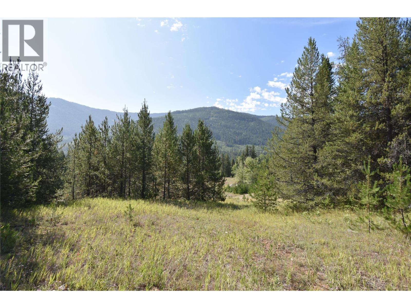 4125 Ross Spur Road, Fruitvale, British Columbia  V0G 1L1 - Photo 5 - 10358434