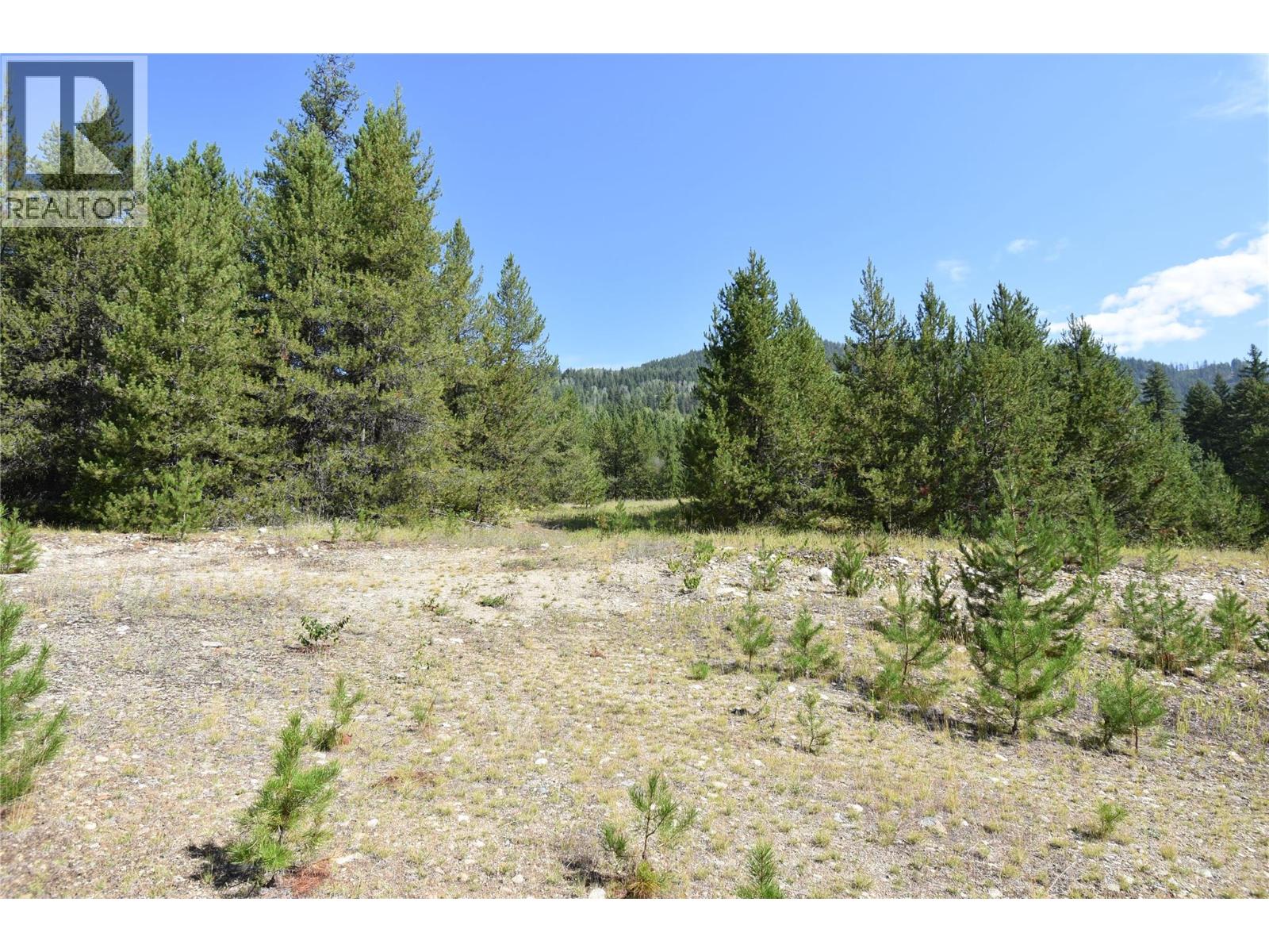 4125 Ross Spur Road, Fruitvale, British Columbia  V0G 1L1 - Photo 7 - 10358434