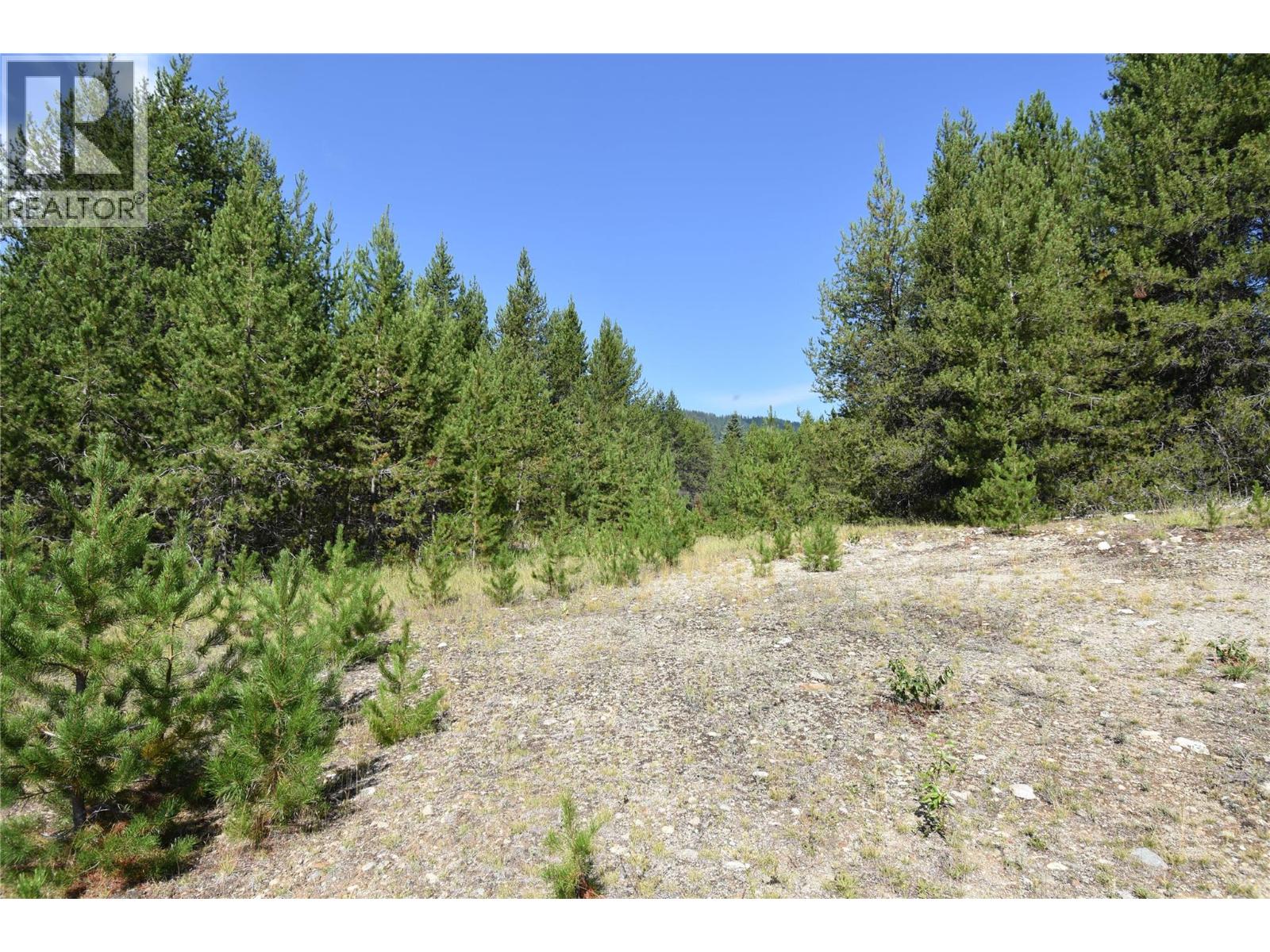 4125 Ross Spur Road, Fruitvale, British Columbia  V0G 1L1 - Photo 8 - 10358434