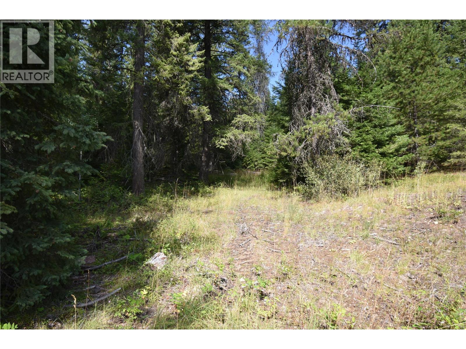 4145 Ross Spur Road, Fruitvale, British Columbia  V0G 1L1 - Photo 5 - 10358436