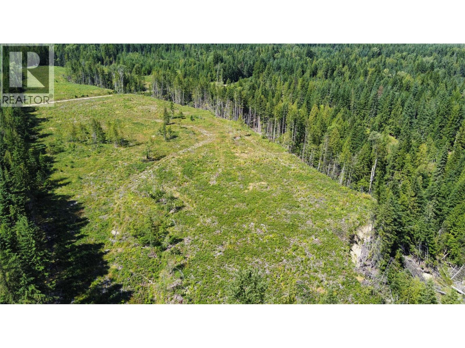 Arrow Park Bellevue Road Lot# Lot A, Arrow Park, British Columbia  V0G 1R1 - Photo 8 - 10358454