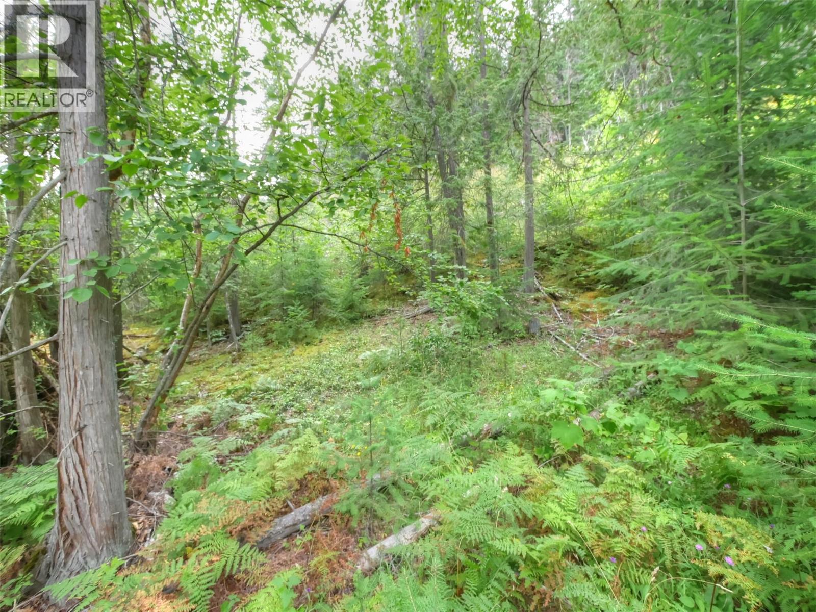 Needles North Road Lot# 1, Needles, British Columbia  V0G 1K0 - Photo 10 - 10358628