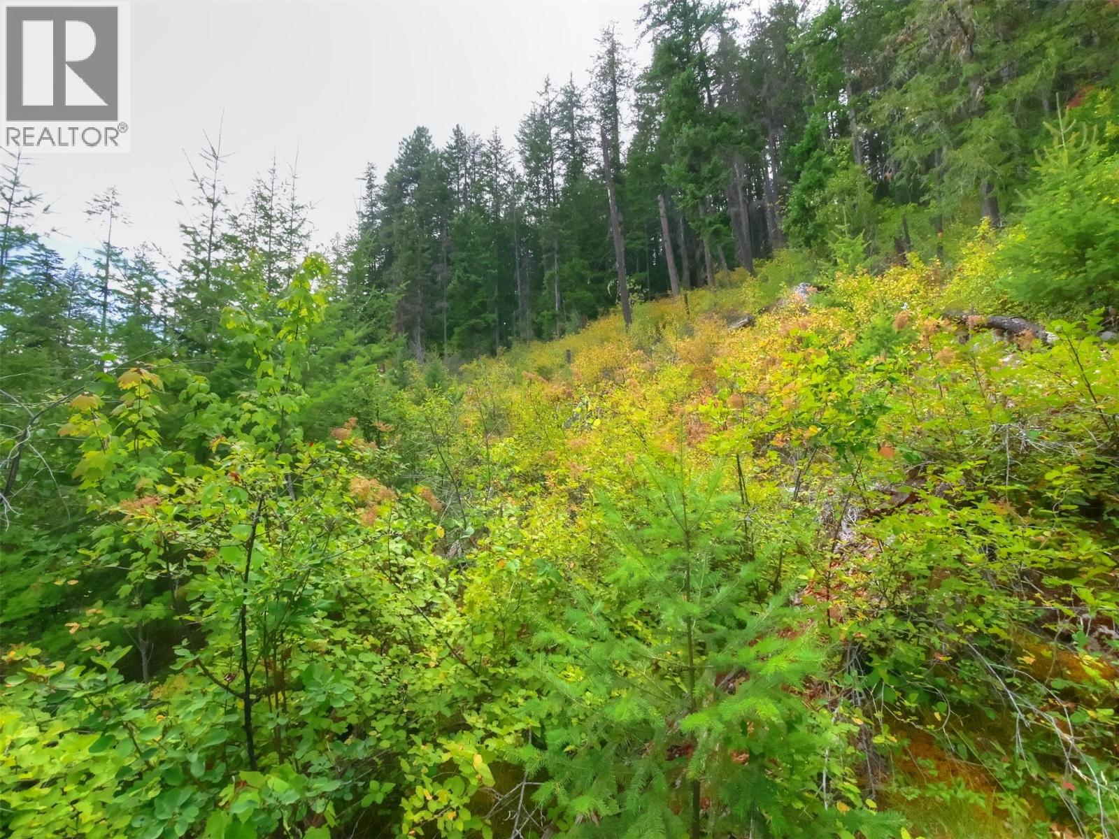 Needles North Road Lot# 1, Needles, British Columbia  V0G 1K0 - Photo 7 - 10358628