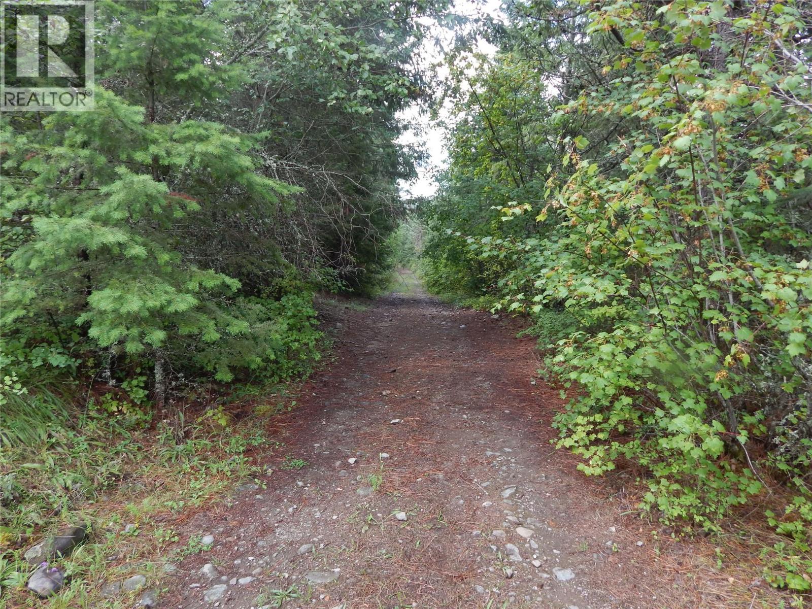 Pit Road Lot# 14, Lister, British Columbia  V0B 1G2 - Photo 14 - 10358753