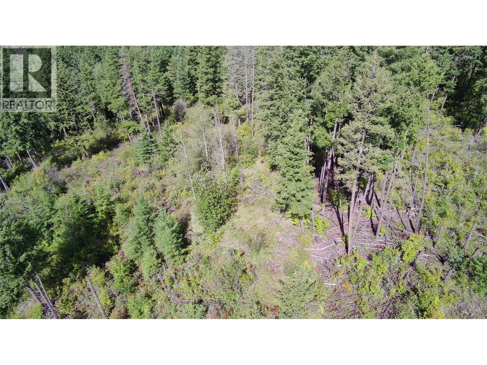 Pit Road Lot# 14, Lister, British Columbia  V0B 1G2 - Photo 17 - 10358753