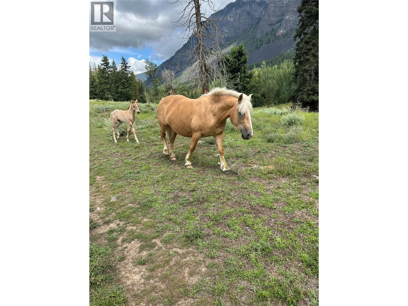 Pit Road Lot# 14, Lister, British Columbia  V0B 1G2 - Photo 18 - 10358753