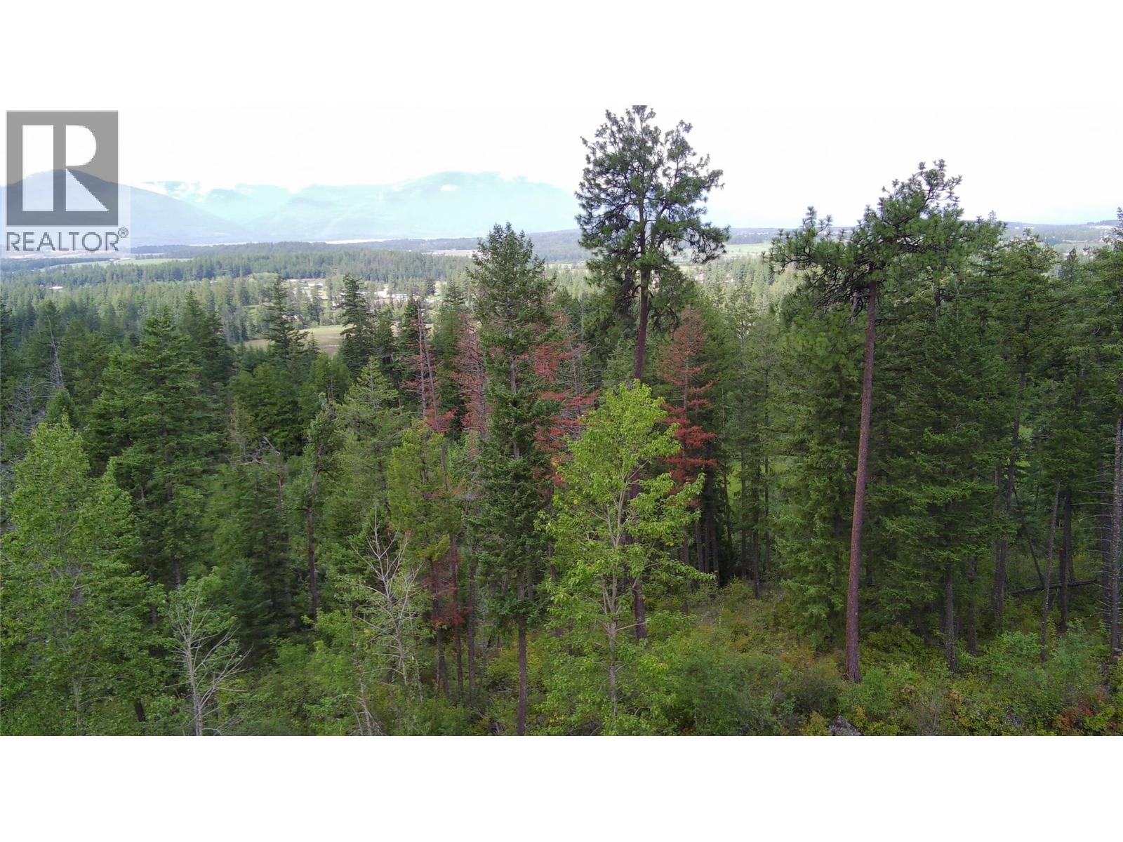 Pit Road Lot# 14, Lister, British Columbia  V0B 1G2 - Photo 21 - 10358753