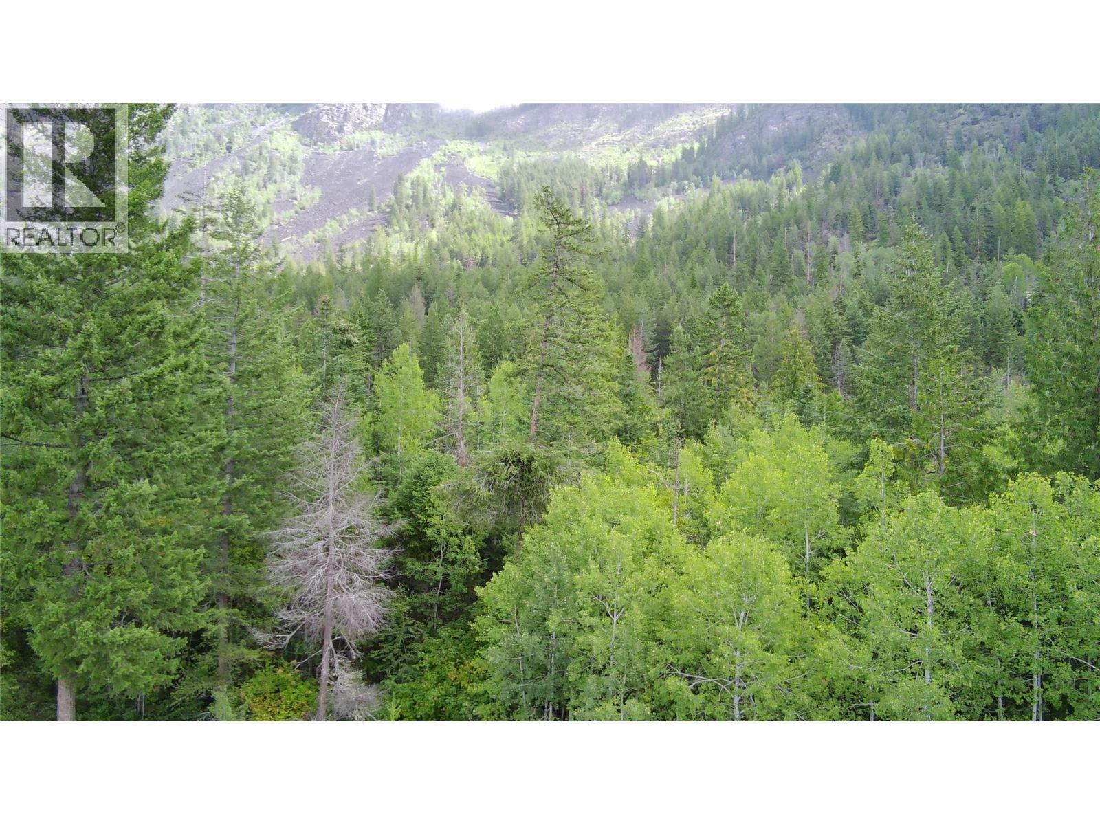 Pit Road Lot# 14, Lister, British Columbia  V0B 1G2 - Photo 29 - 10358753