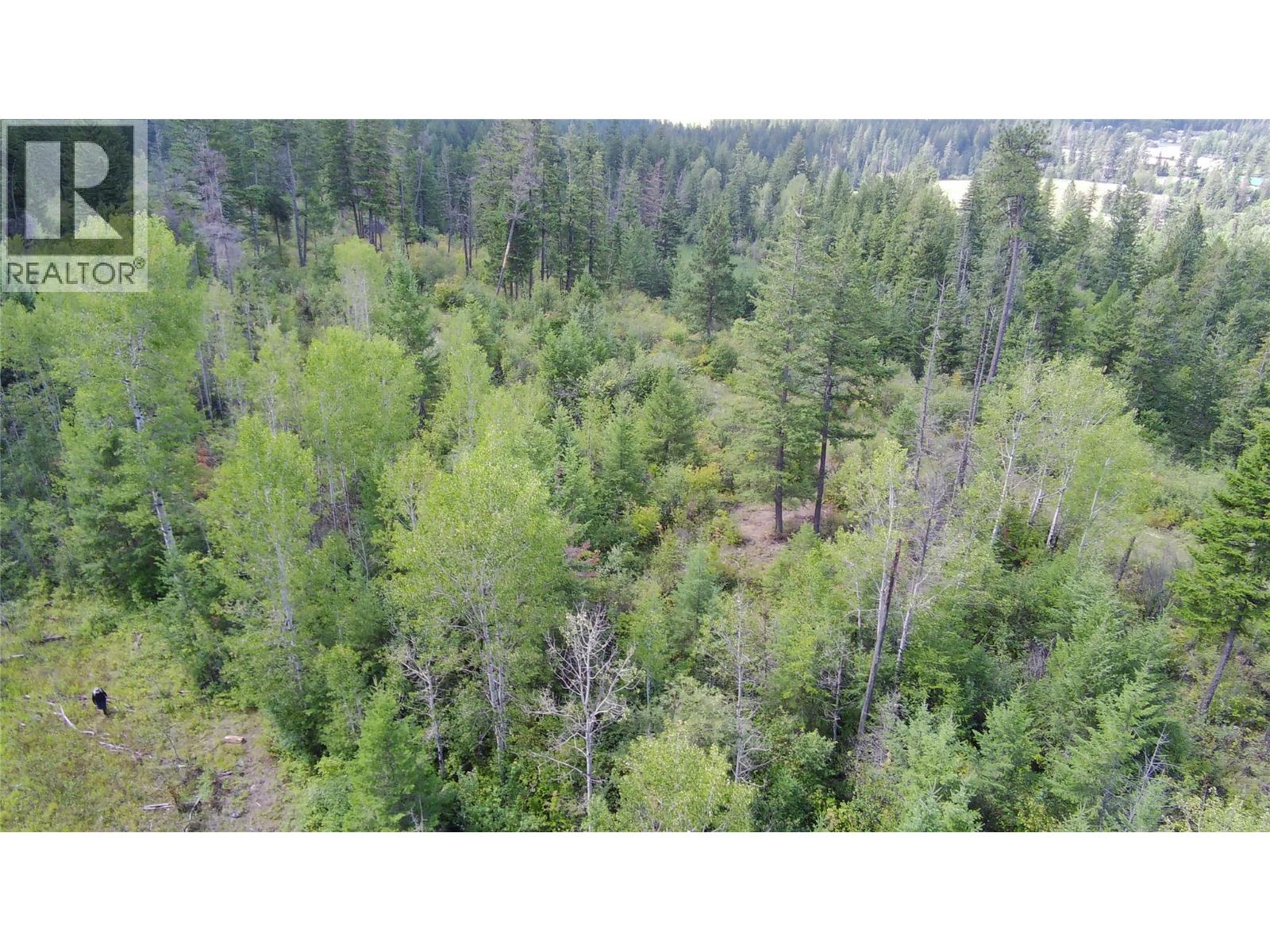 Pit Road Lot# 14, Lister, British Columbia  V0B 1G2 - Photo 4 - 10358753