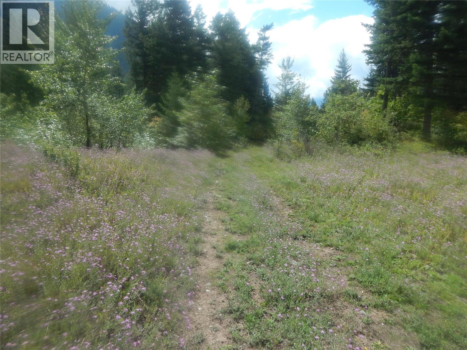 Pit Road Lot# 14, Lister, British Columbia  V0B 1G2 - Photo 44 - 10358753