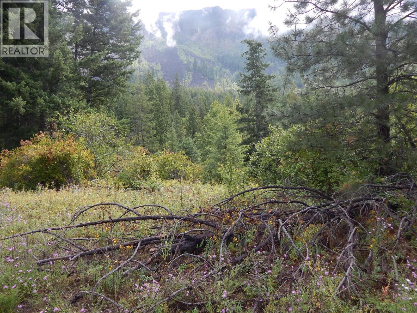 Pit Road Lot# 14, Lister, British Columbia  V0B 1G2 - Photo 52 - 10358753