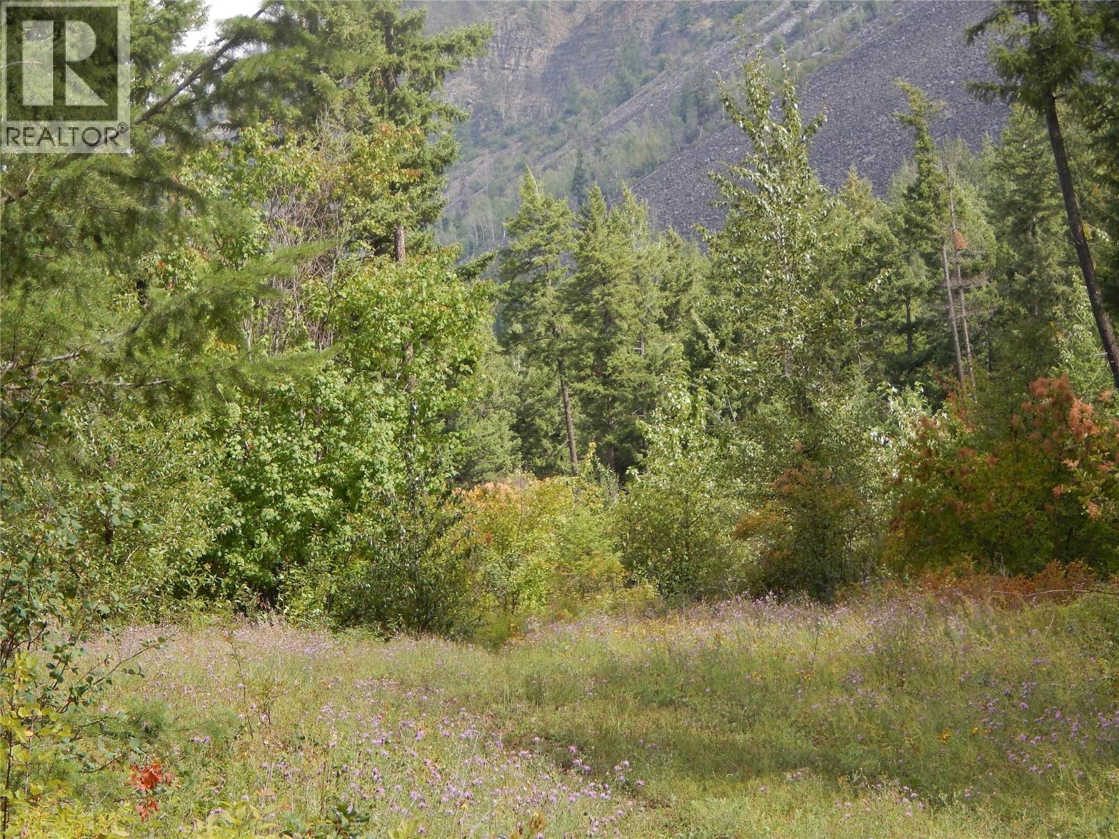 Pit Road Lot# 14, Lister, British Columbia  V0B 1G2 - Photo 54 - 10358753