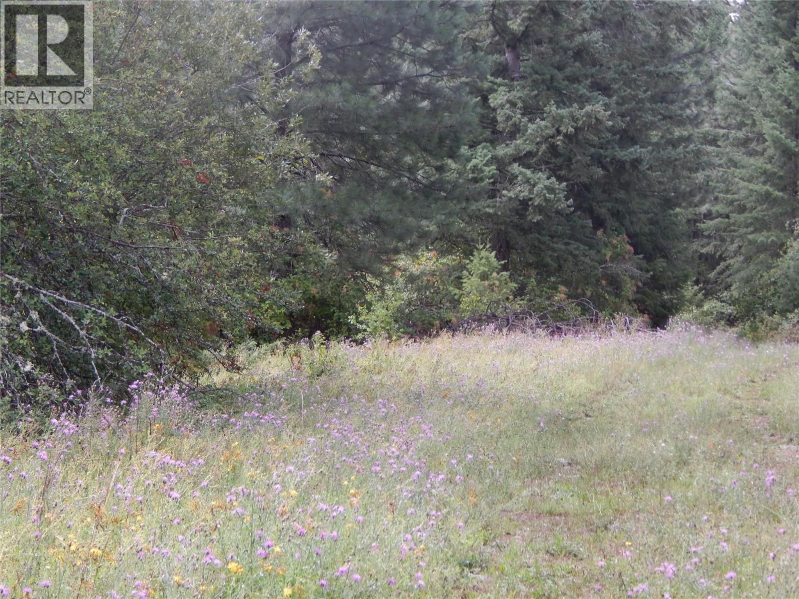 Pit Road Lot# 14, Lister, British Columbia  V0B 1G2 - Photo 55 - 10358753