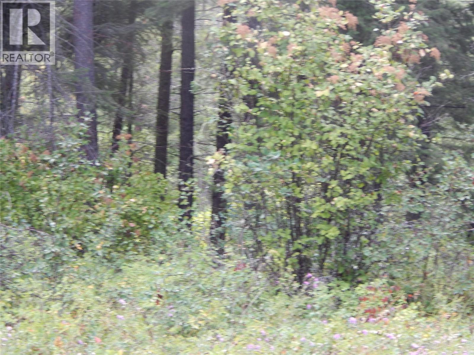 Pit Road Lot# 14, Lister, British Columbia  V0B 1G2 - Photo 56 - 10358753