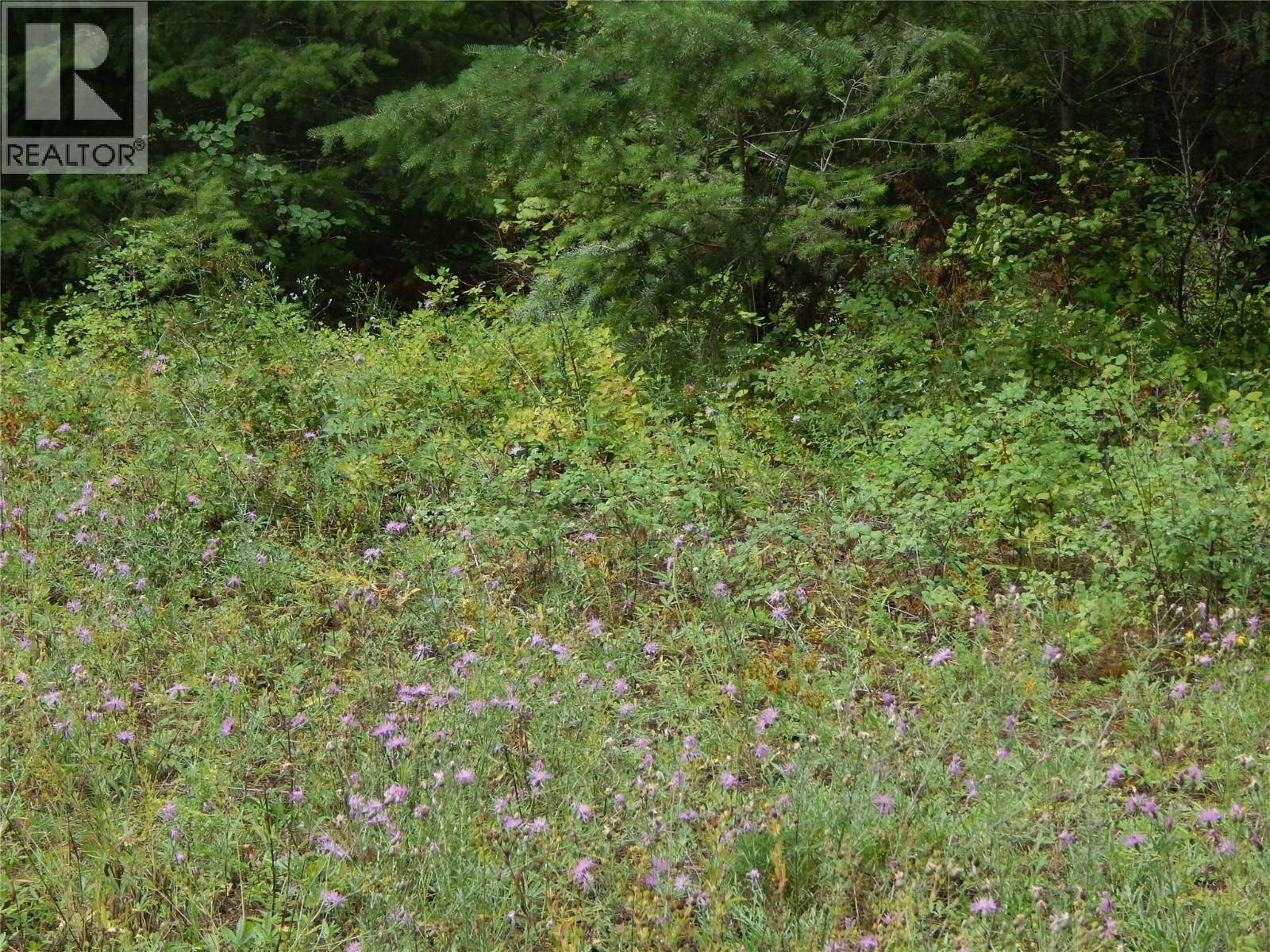 Pit Road Lot# 14, Lister, British Columbia  V0B 1G2 - Photo 57 - 10358753
