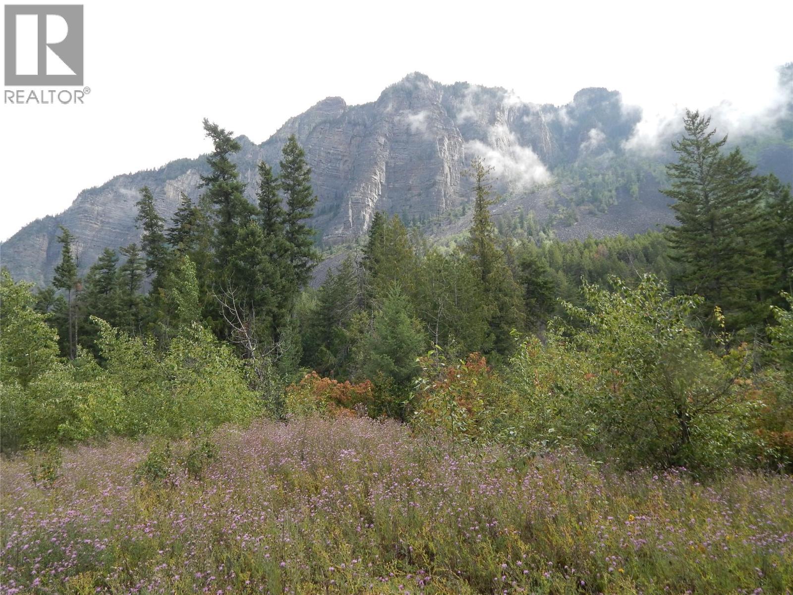 Pit Road Lot# 14, Lister, British Columbia  V0B 1G2 - Photo 58 - 10358753