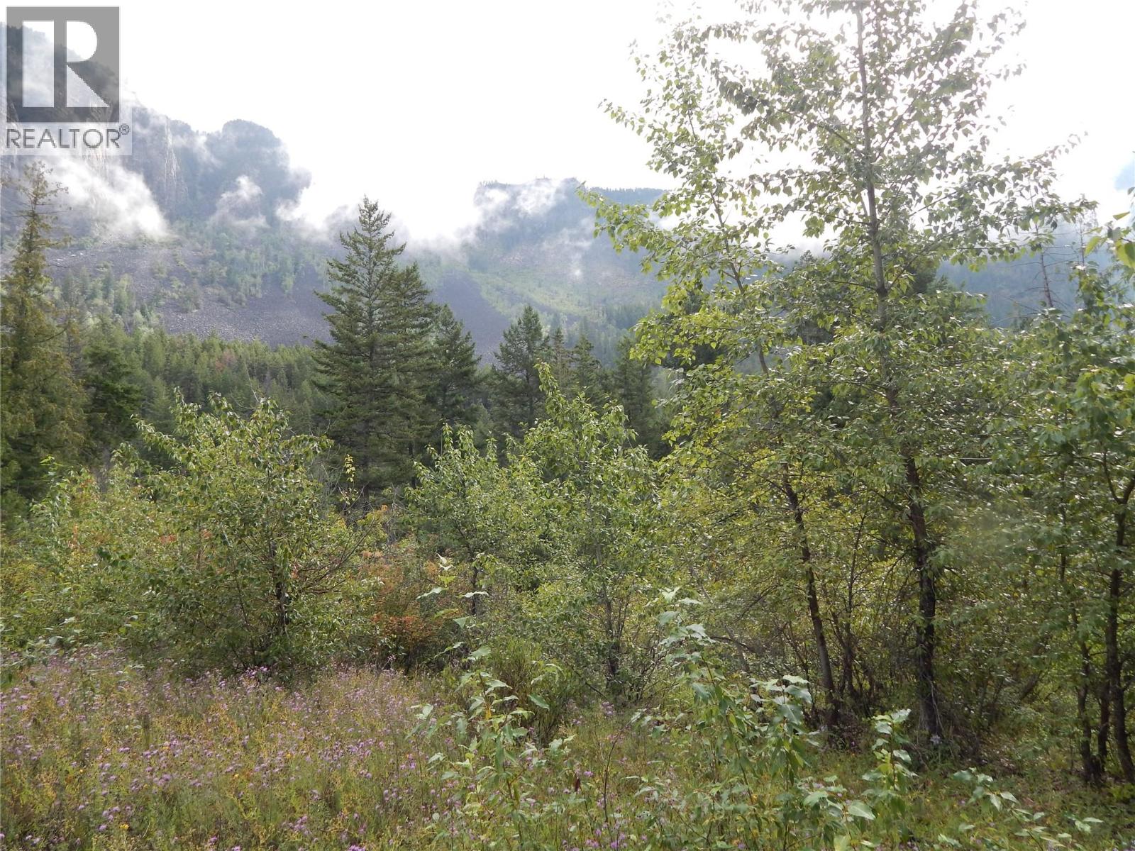 Pit Road Lot# 14, Lister, British Columbia  V0B 1G2 - Photo 59 - 10358753