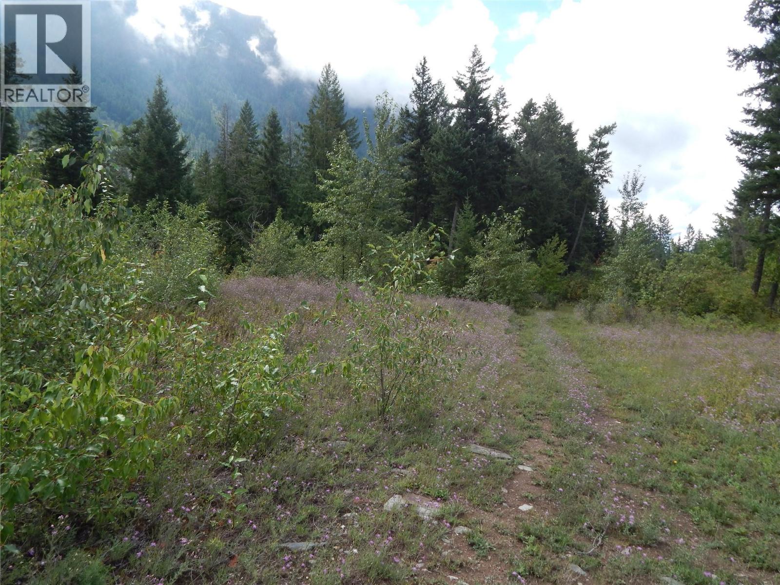 Pit Road Lot# 14, Lister, British Columbia  V0B 1G2 - Photo 60 - 10358753