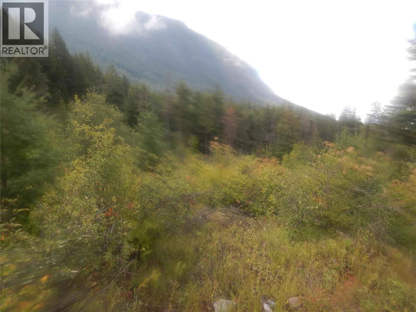 Pit Road Lot# 14, Lister, British Columbia  V0B 1G2 - Photo 62 - 10358753