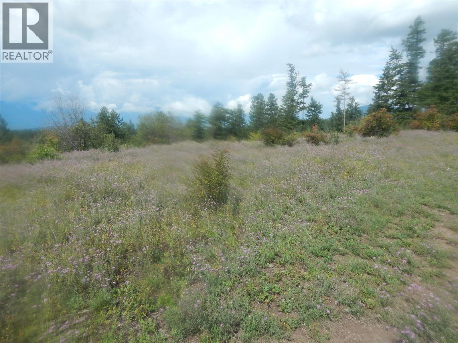 Pit Road Lot# 14, Lister, British Columbia  V0B 1G2 - Photo 65 - 10358753