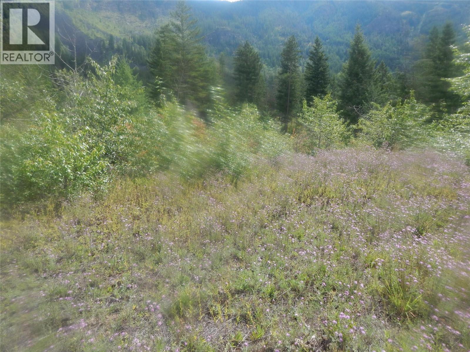 Pit Road Lot# 14, Lister, British Columbia  V0B 1G2 - Photo 66 - 10358753