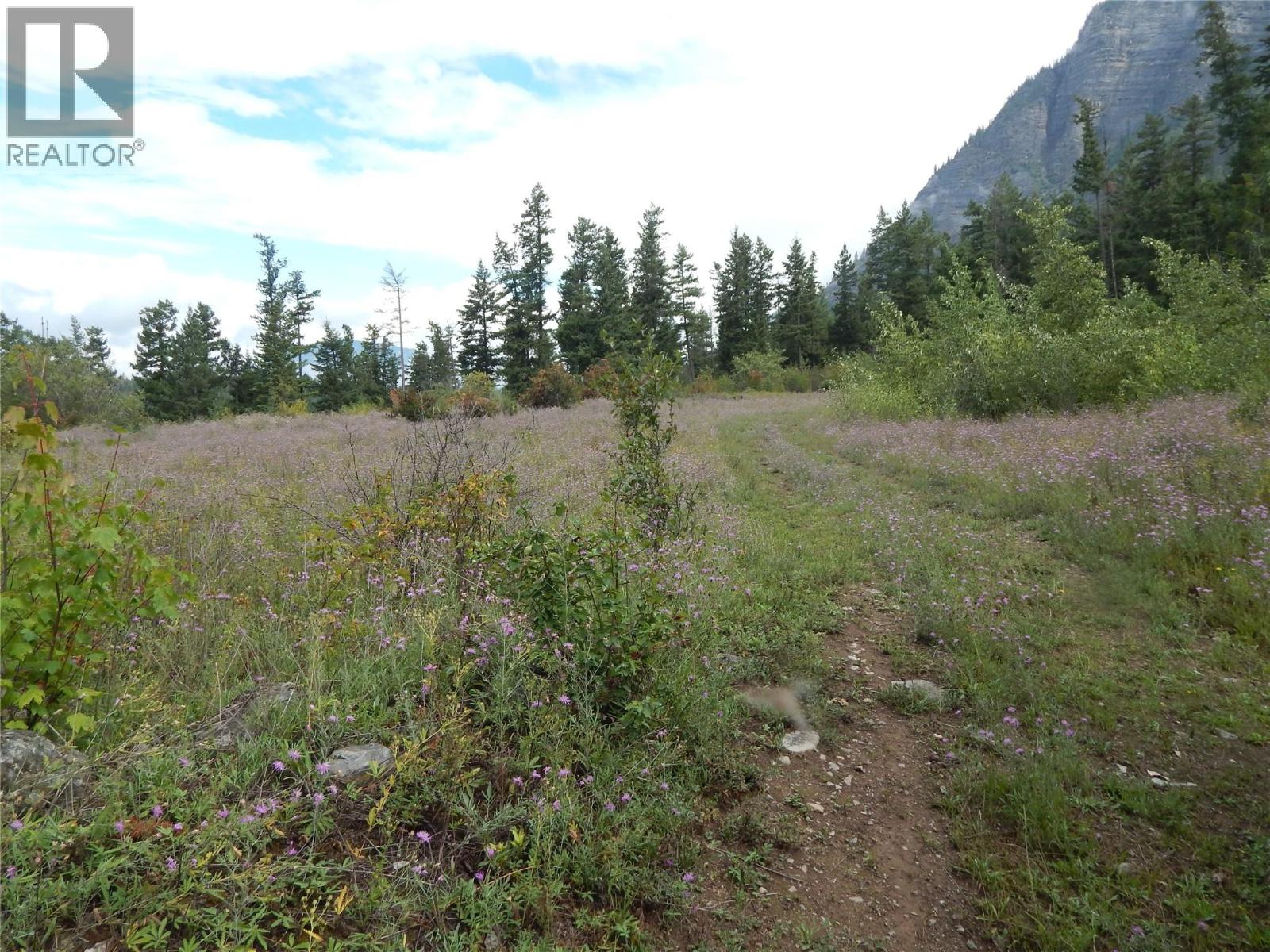 Pit Road Lot# 14, Lister, British Columbia  V0B 1G2 - Photo 9 - 10358753