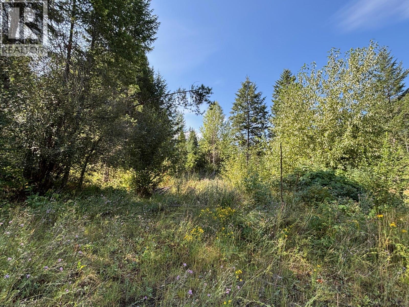 3520 33 Highway, Westbridge, British Columbia  V0H 1Y0 - Photo 20 - 10358820