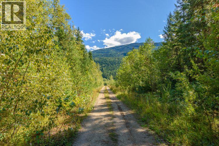 Lot A, & Lot 6 Queest N, Anstey Arm, British Columbia  V0E 1M7 - Photo 15 - 10358948