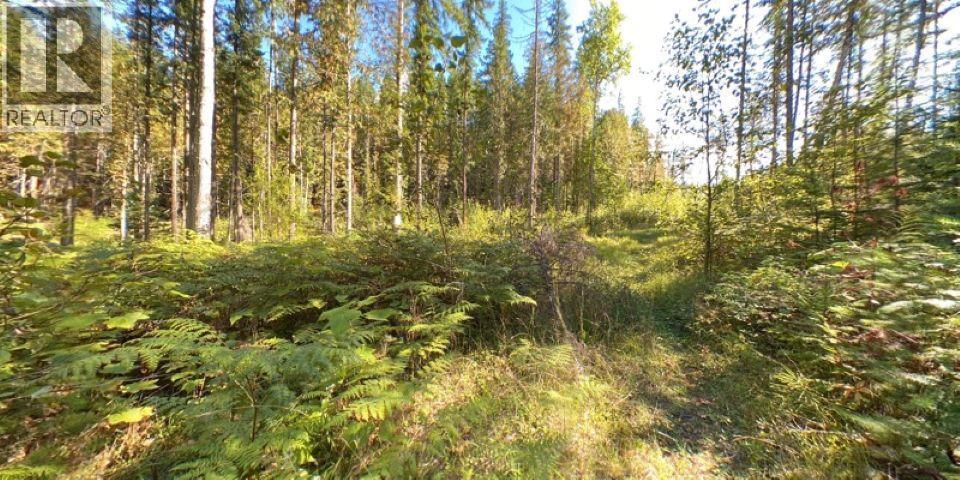 Lot A, & Lot 6 Queest N, Anstey Arm, British Columbia  V0E 1M7 - Photo 19 - 10358948