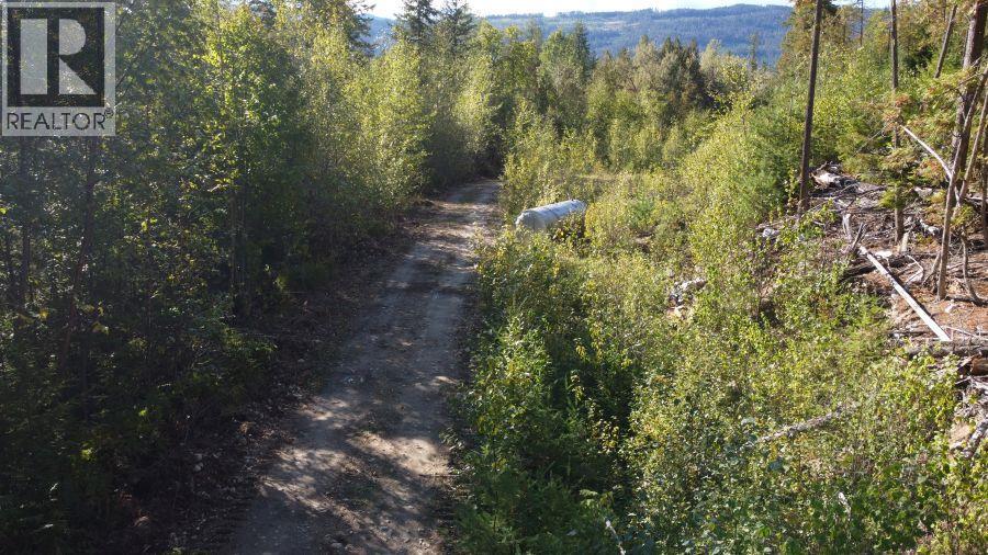 Lot A, & Lot 6 Queest N, Anstey Arm, British Columbia  V0E 1M7 - Photo 23 - 10358948