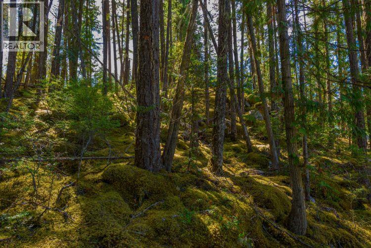 Lot A, & Lot 6 Queest N, Anstey Arm, British Columbia  V0E 1M7 - Photo 7 - 10358948