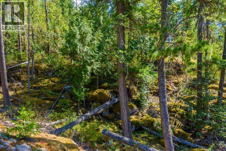 Lot A, & Lot 6 Queest N, Anstey Arm, British Columbia  V0E 1M7 - Photo 8 - 10358948