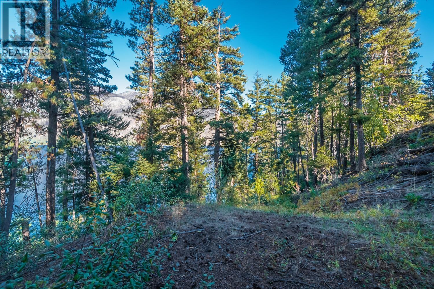 4431 Lakeview Road, Lillooet, British Columbia  V0K 1P0 - Photo 16 - 10359133