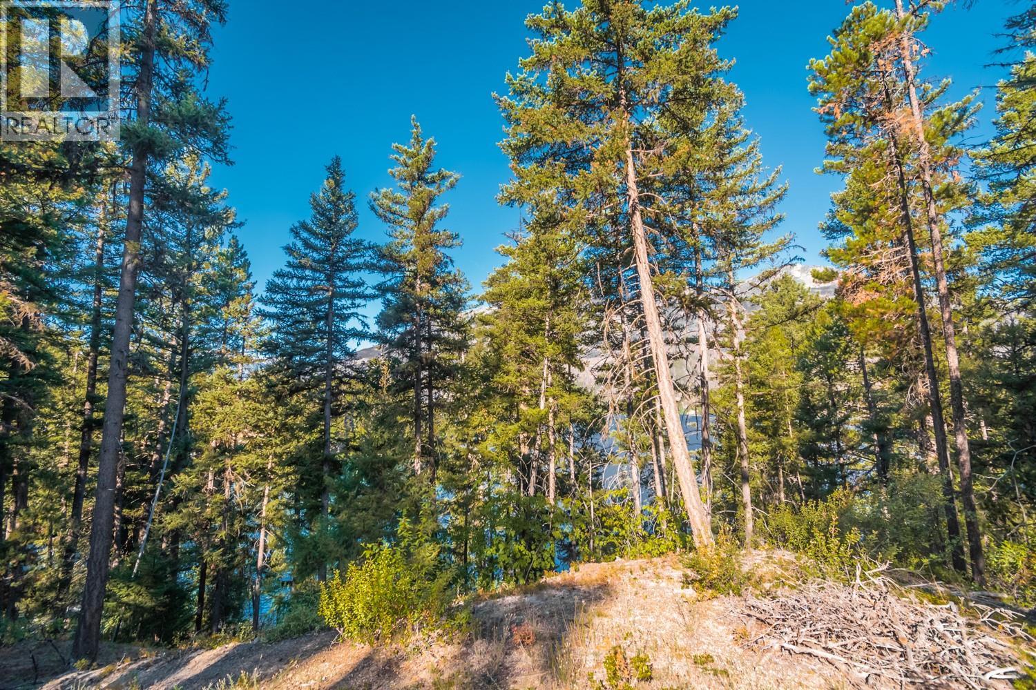 4431 Lakeview Road, Lillooet, British Columbia  V0K 1P0 - Photo 19 - 10359133